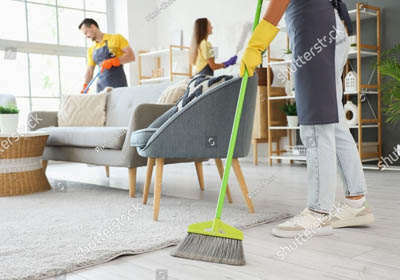 Dust, Vacuum & Organize